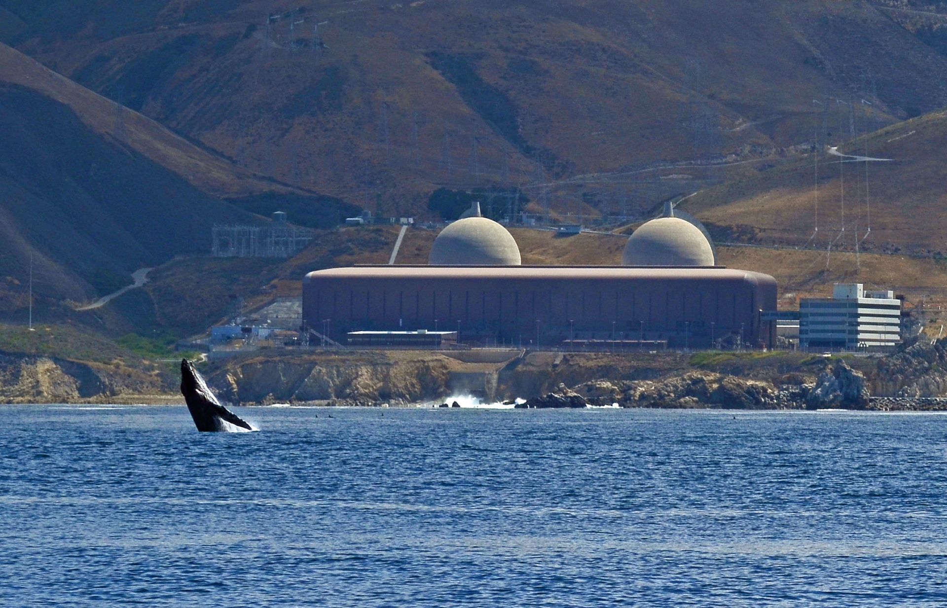 NRC approves Diablo Canyon license renewal, extension -- ANS / Nuclear  Newswire