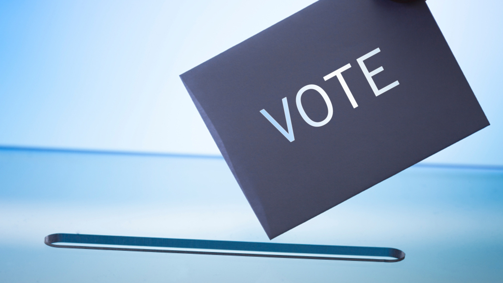 Cast your vote in the ANS election by April 11