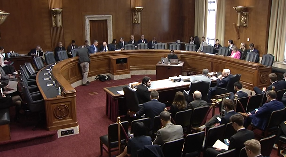 DOE, INL, Kairos talk nuclear energy at Senate committee hearing