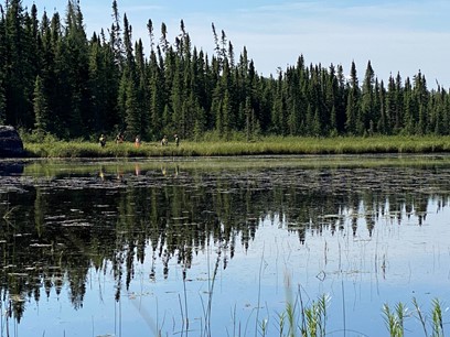 fauna of canada Resources: google.com