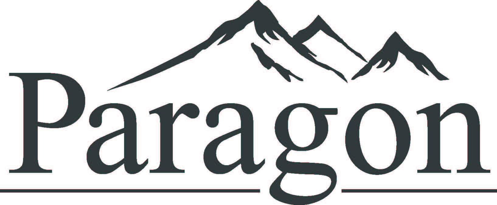 Paragon Energy Solutions, LLC
